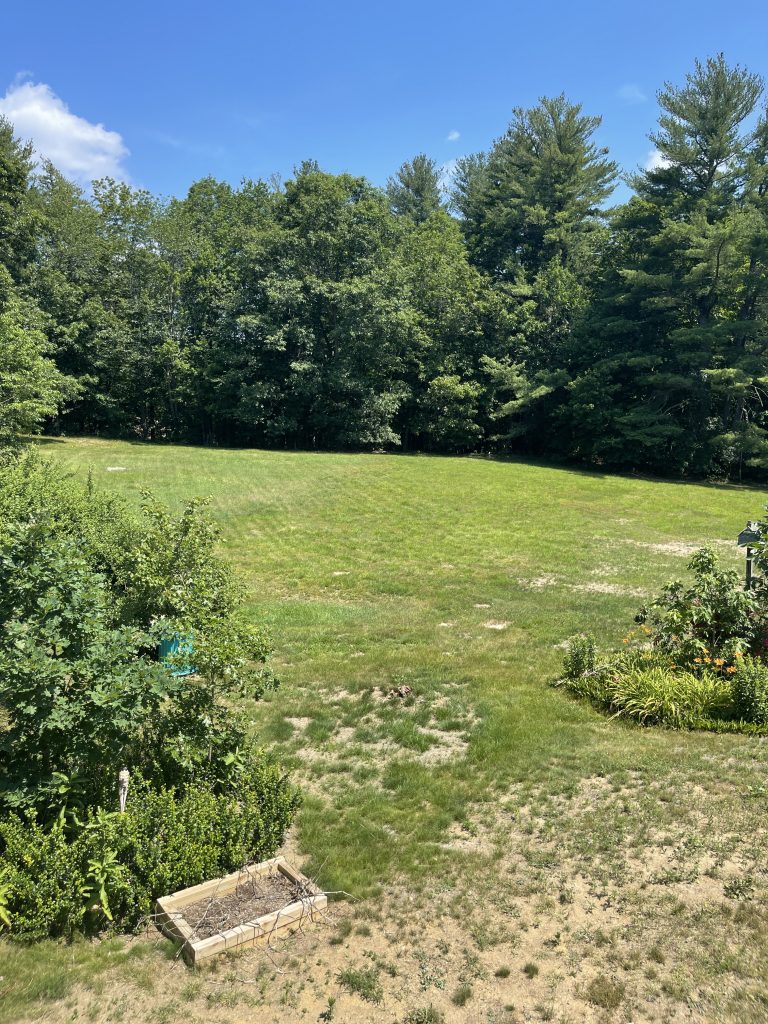 Yard